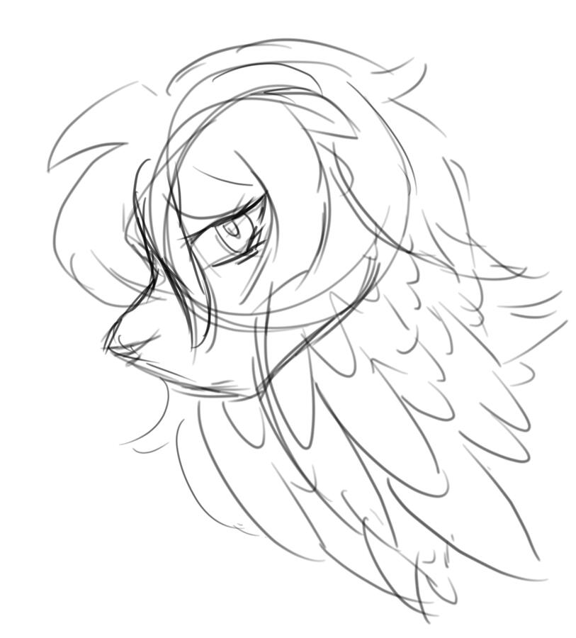 Sketch